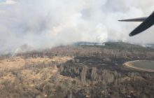 Пожежа в Чорнобильській зоні: горить 100 гектарів лісу та трави (відео)