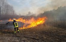 На Житомирщині горить ліс на площі 25 гектарів