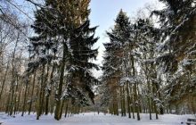 У Мінприроди назвали причини зміни клімату в Україні